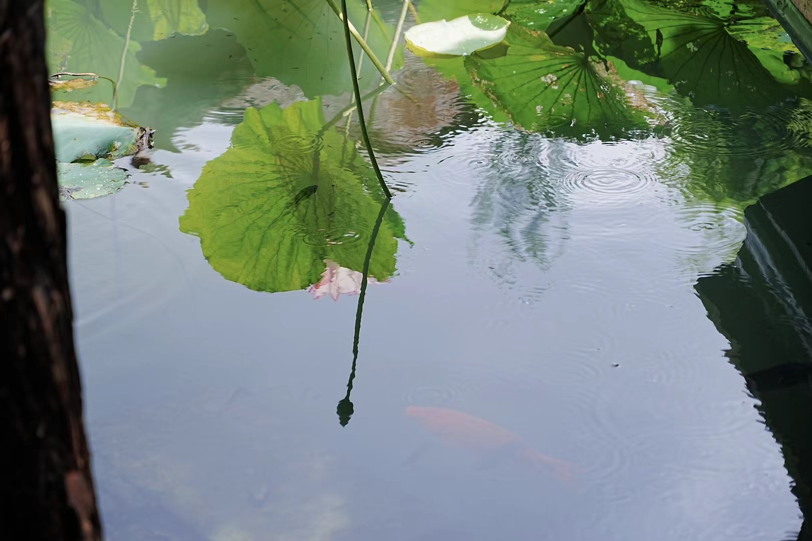 Digital Photography 10