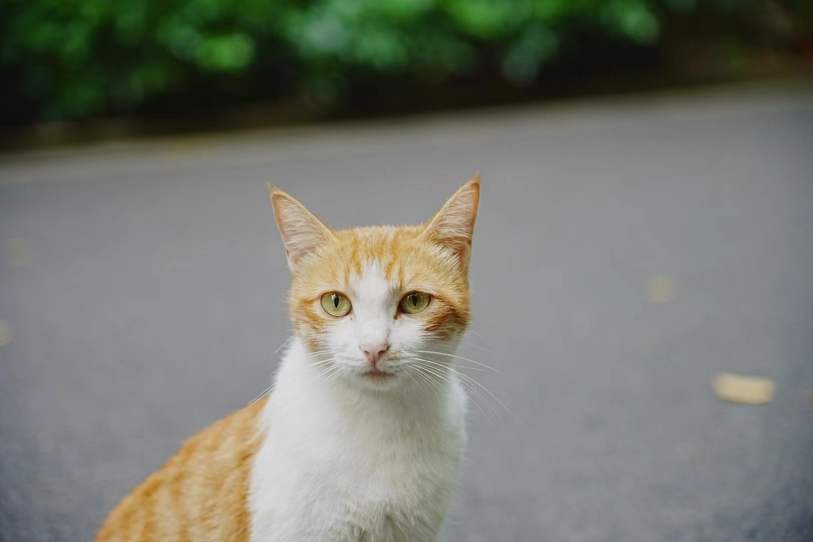 Digital Photography 11