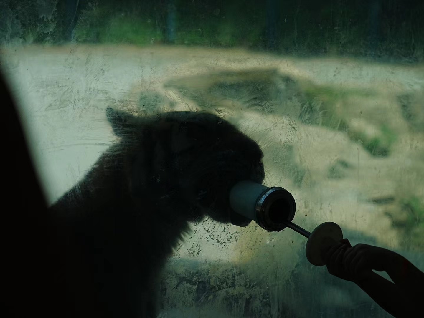 Digital Photography 13