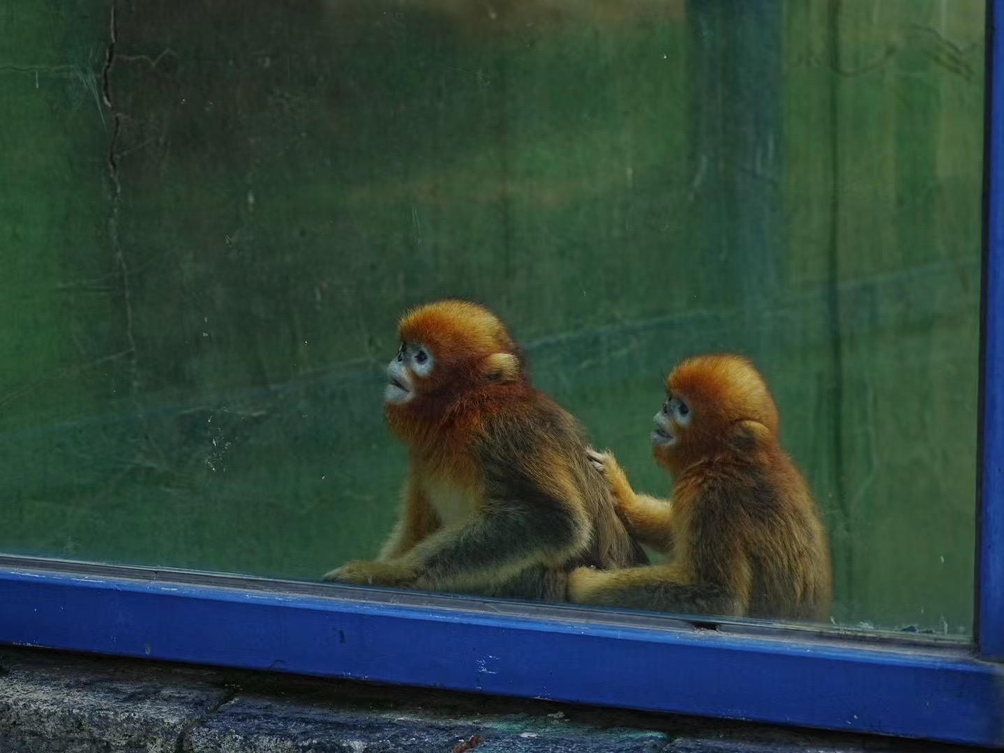 Digital Photography 14