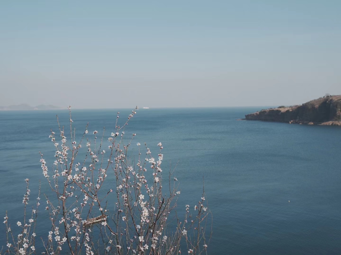 Digital Photography 16