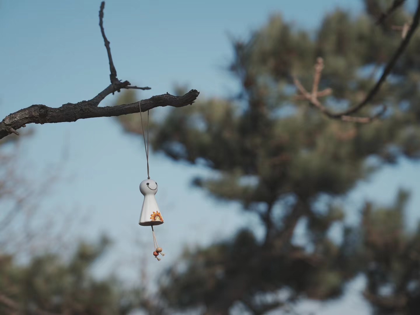 Digital Photography 17