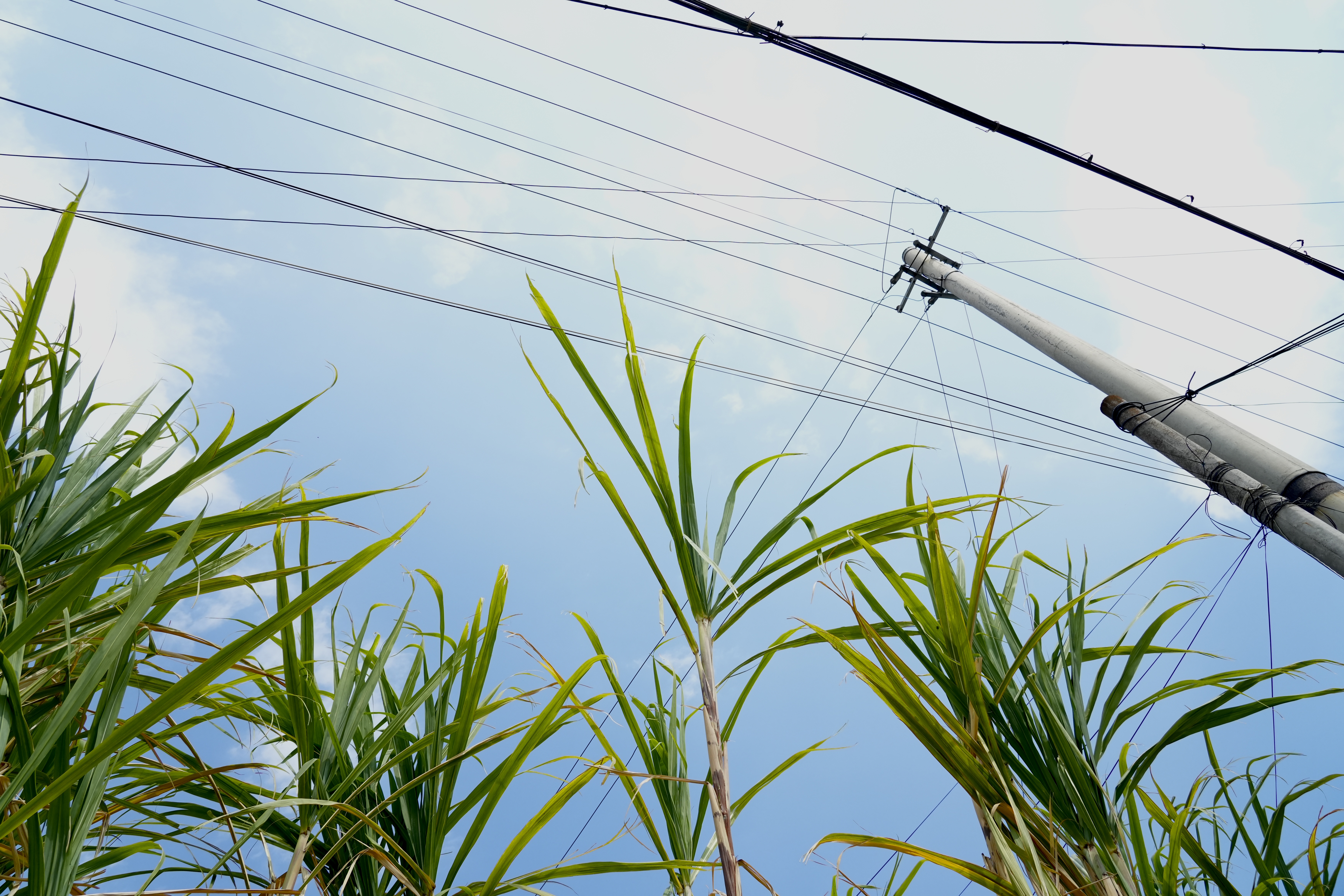 Digital Photography 5