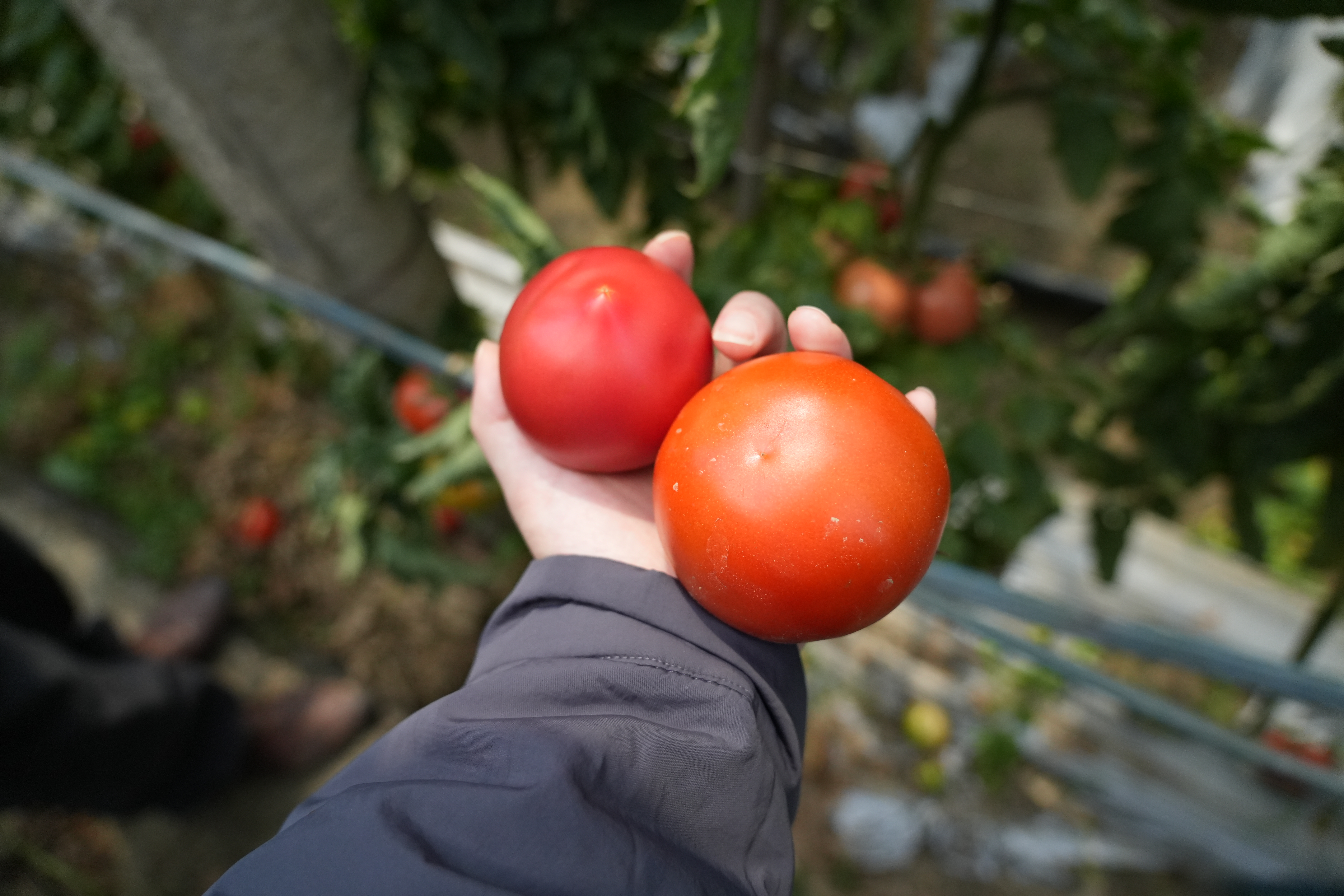 Digital Photography 6