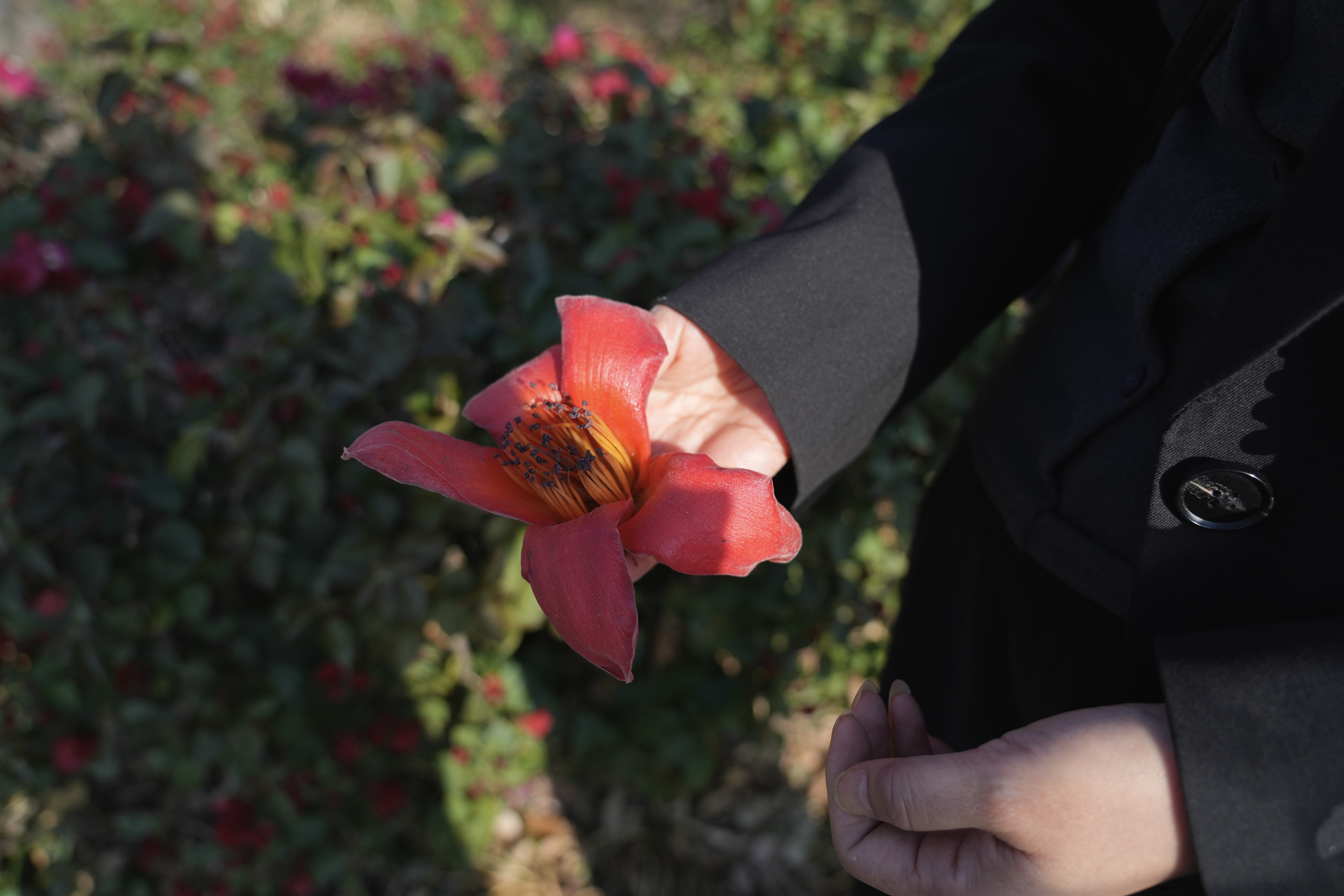 Digital Photography 7