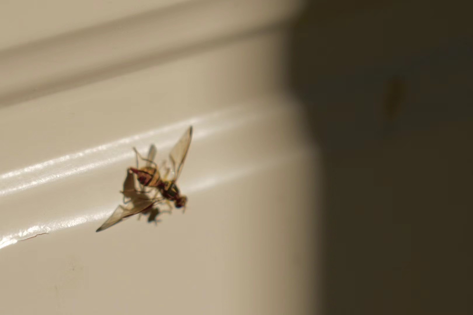 Digital Photography 8