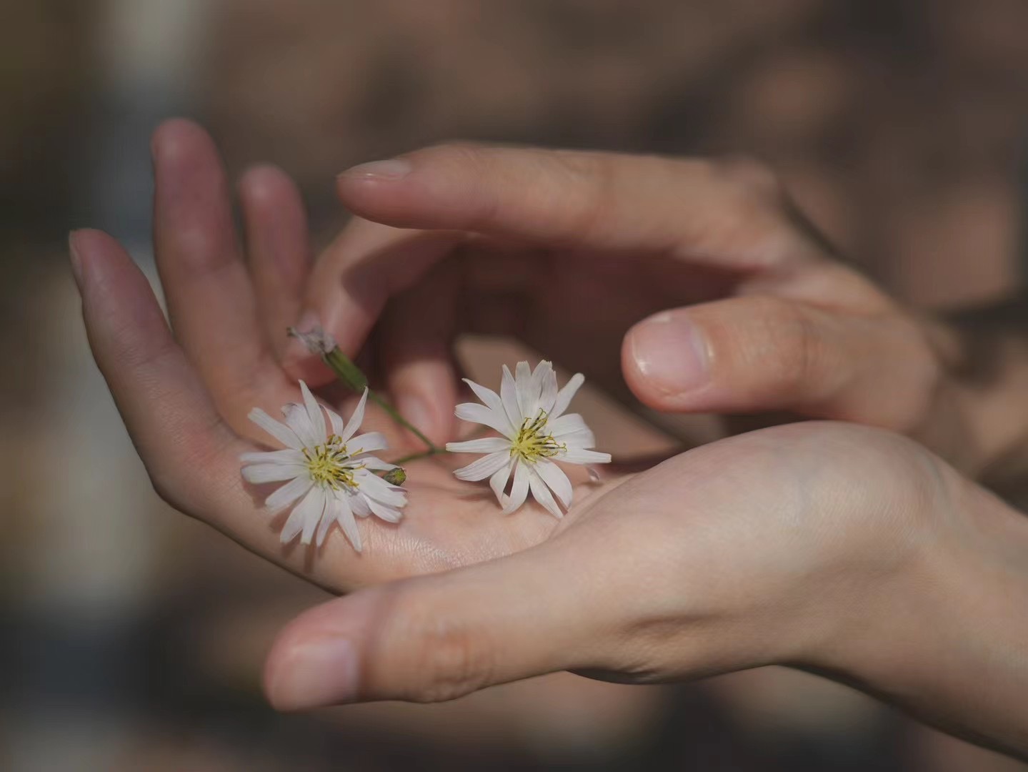 Digital Photography 9